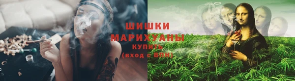 индика Вязьма