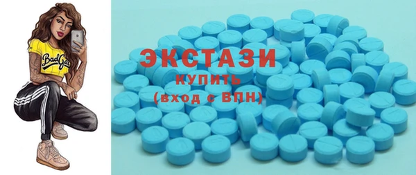 индика Вязьма