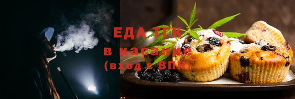 индика Вязьма