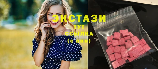 индика Вязьма