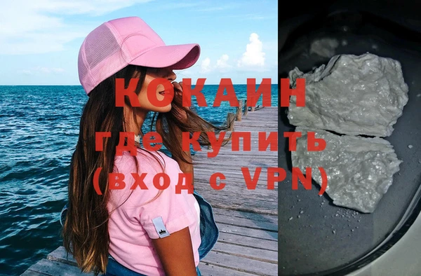 индика Вязьма