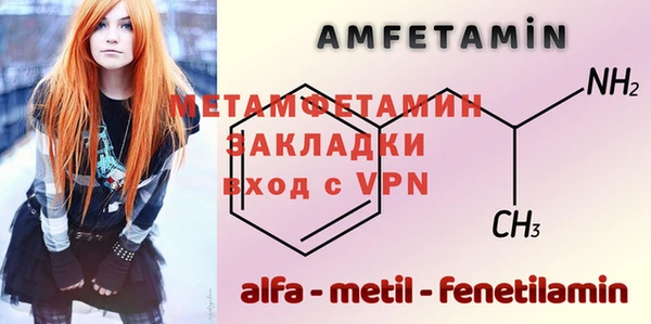 индика Вязьма