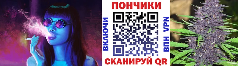 Канабис тримм  MEGA ТОР  Каргат  цены наркотик 